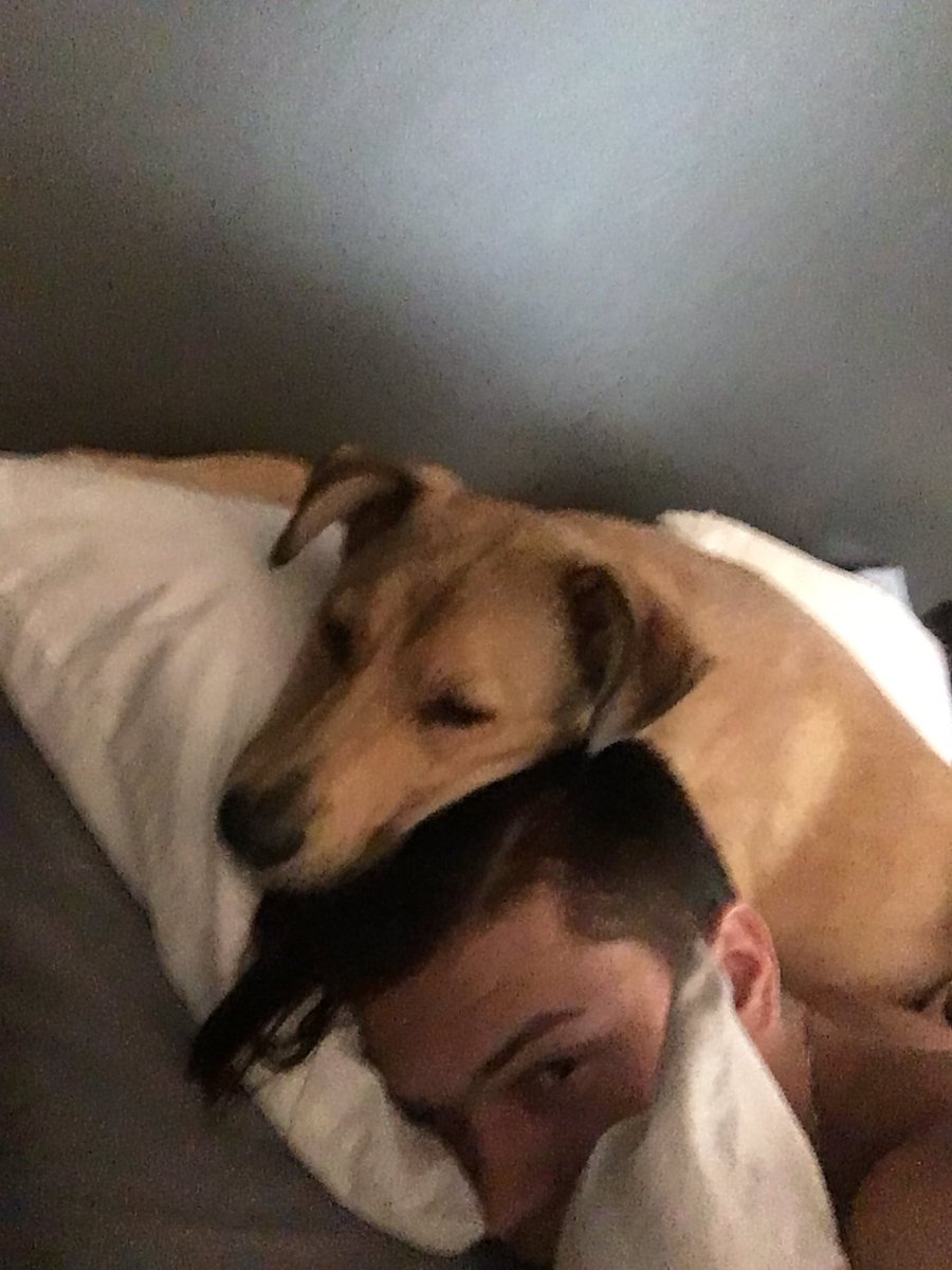 collinforeman11's tweet photo. update: so in love with my little big puppy zoey 😍 https://t.co/tTlfrMdZdj