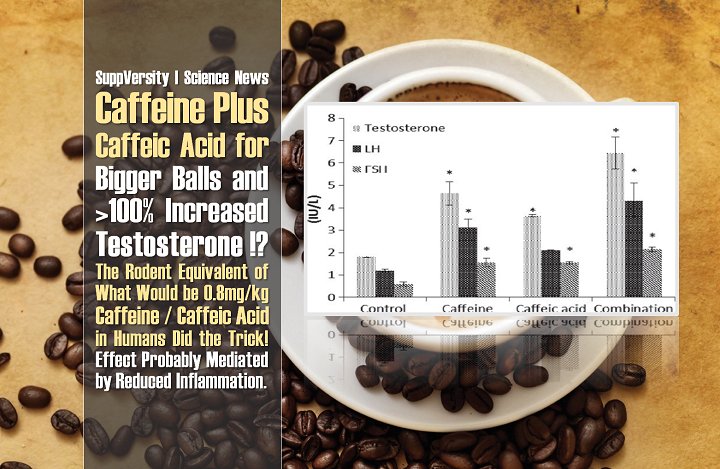 SuppVersity's tweet photo. 0.8mg of #Caffeine Plus #CaffeicAcid Increase #Testosterone by >100% in 8Wk Rat Study -previous Caffeine Studies at https://t.co/Zdp9ipWU2D https://t.co/KRI1cIdUF1
