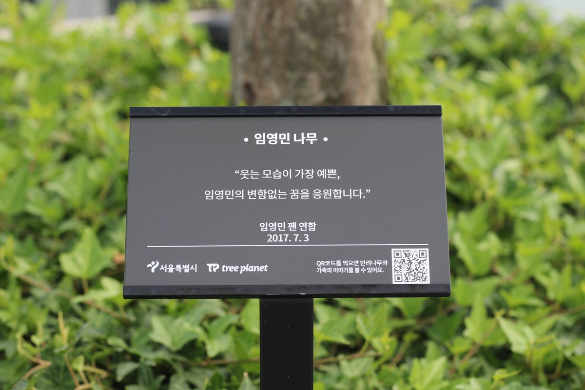 이 구역 주인공은 나야나!
#임영민나무 소사나무처럼 소!사!라!
#트리플래닛 #서울로7017 #임영민 #반려나무 #스타나무