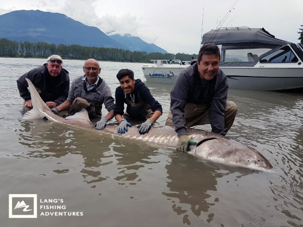 Lang's Fishing Adv. tweet media