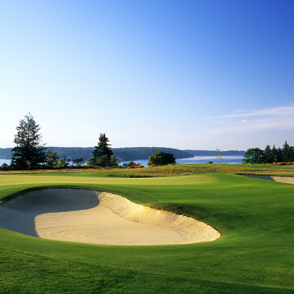 Fittedfairways tweet media