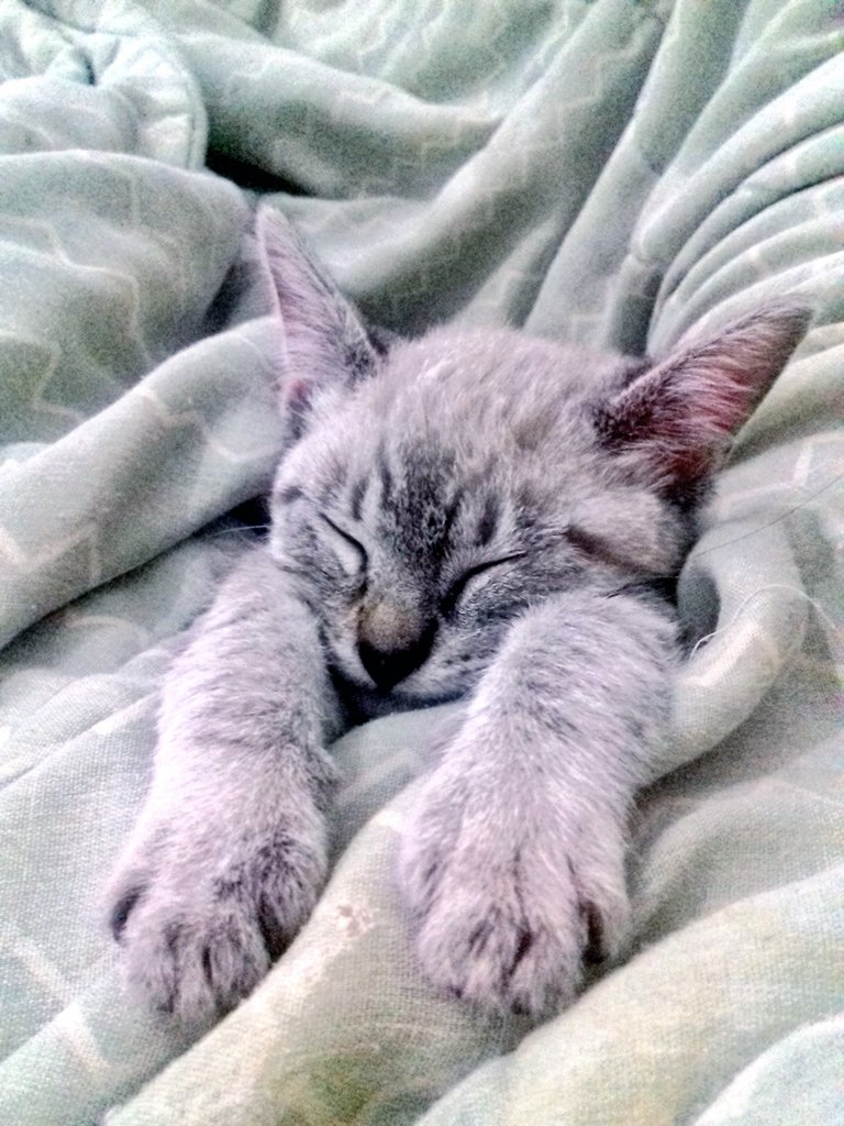 _BrubZzz_'s tweet photo. Boa noitinha https://t.co/s5Szol3gLv