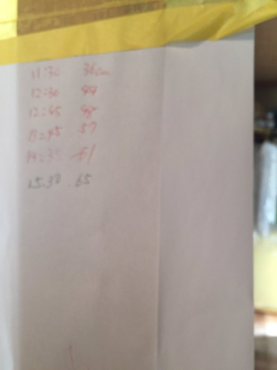 高橋千鶴子 on X