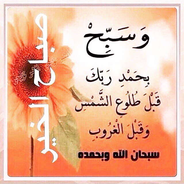 alhamoudi881's tweet photo. صباح الخير ويوم جميل باْذن الله اتمنى لكم https://t.co/wBipFppq77