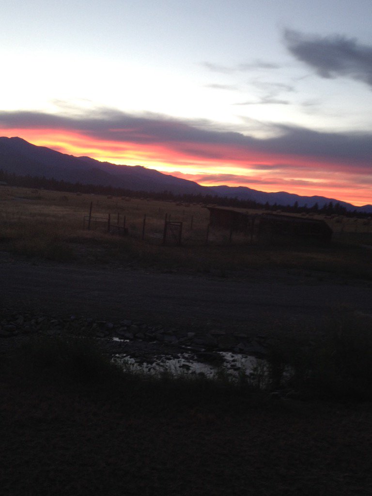 Dj95082289's tweet photo. #ButThatSunsetDoe #Donation #markdohner https://t.co/Di6O82Nu33