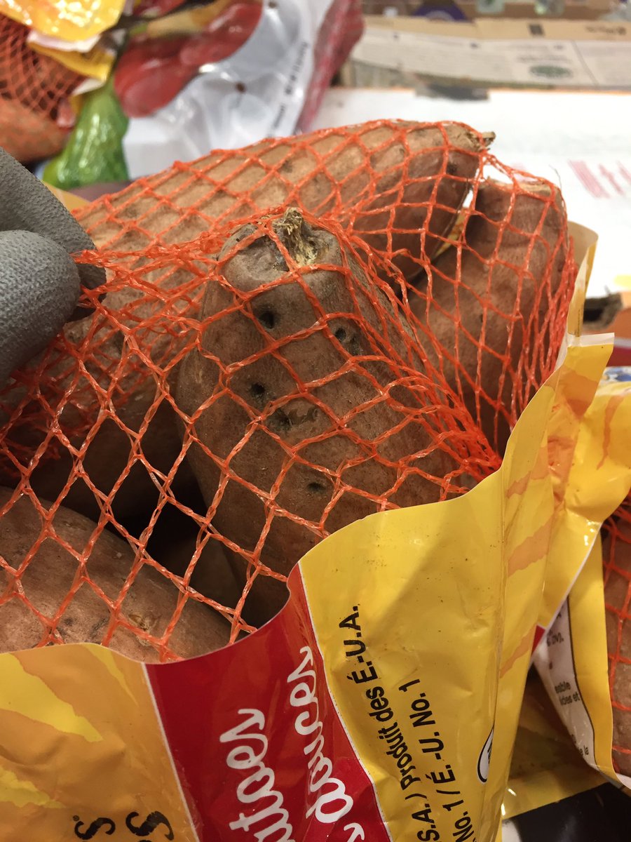 Feazel26's tweet photo. Just in case you had a bad day, just look at this happy lil potato that I found at work today https://t.co/ktWyEA5kKv
