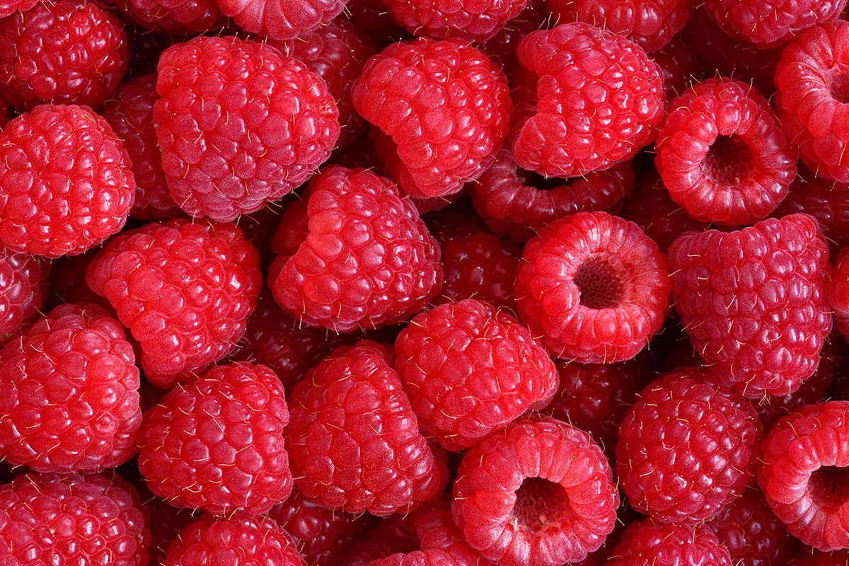 NDalton143's tweet photo. Raspberries aren't berries, they're aggregate fruits, many one-seeded drupelets made by a single flower! #bio120sum17 @NutmegSomething https://t.co/95Q7Kt9qUr