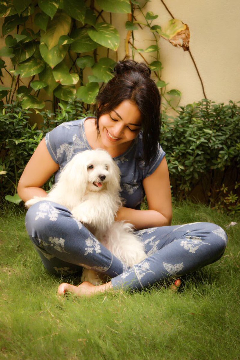 actorramya's tweet photo. Rise and Shine !Happy morning ☀️❤️!
#MorningBliss #Furball #Malta #EnergyBundle #CoffeeIsAMust https://t.co/rSahMHM2yF