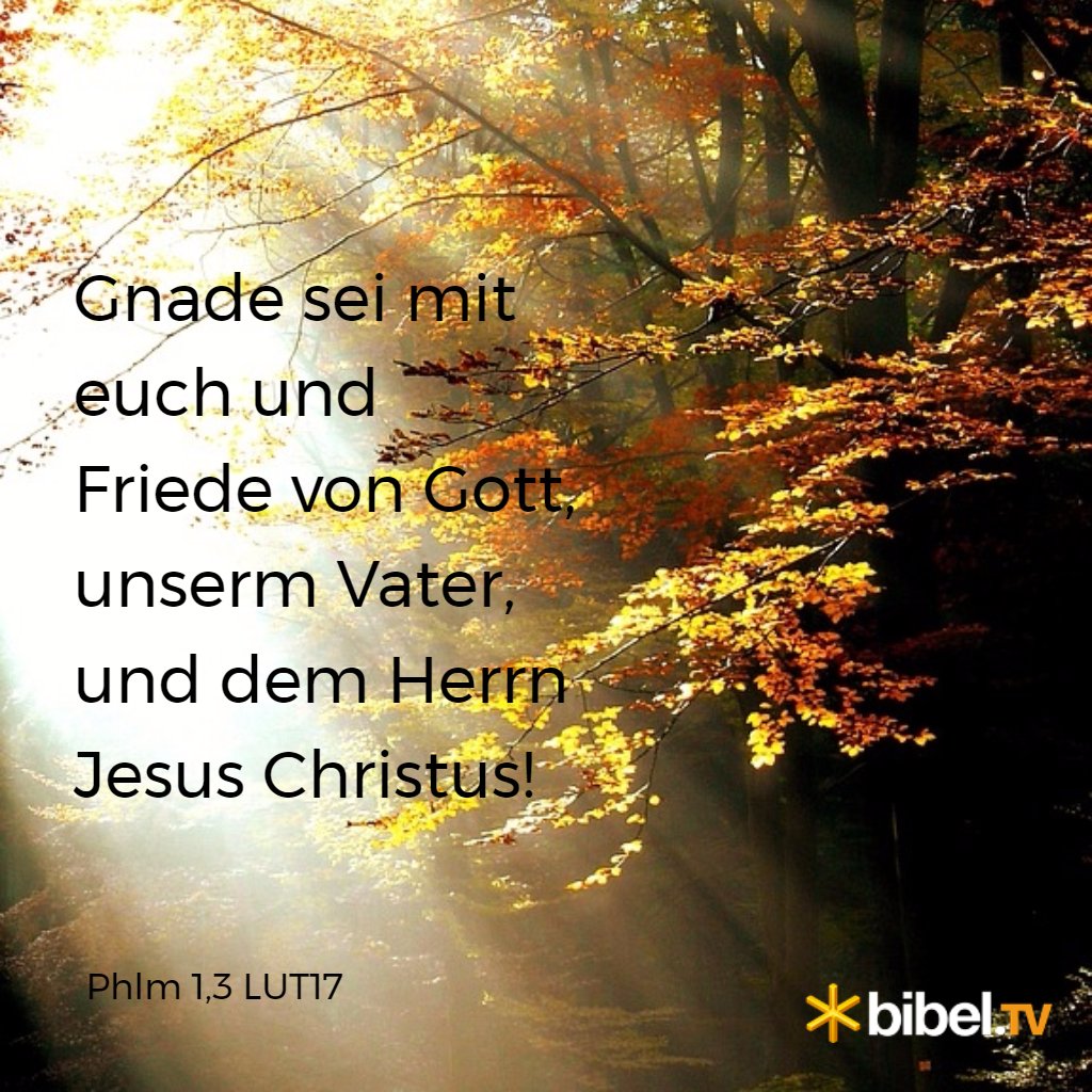 BibelTV's tweet photo. "Gnade sei mit euch und Friede von Gott, ..." Phlm 1,3 LUT17
#bibelwort #bibelpur #scripturesnack #tagesvers #bibel #bibeltv https://t.co/DqOicvNuBS