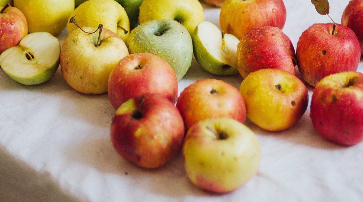 In Flint Neighborhood, Vacant Lots Will Soon Bear Fruit nextcity.org/daily/entry/ea…