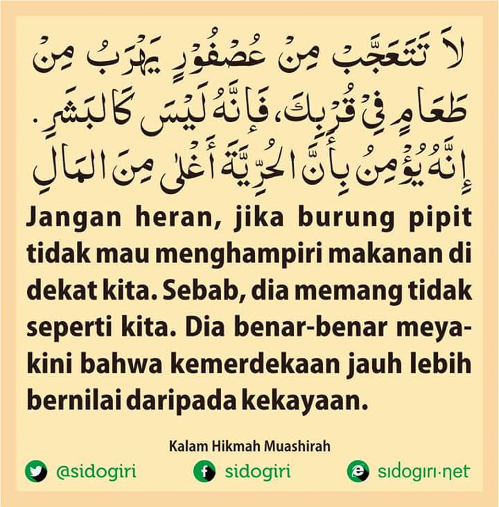 Adakalanya kita harus belajar dari makhluk lain yang lebih sederhana.