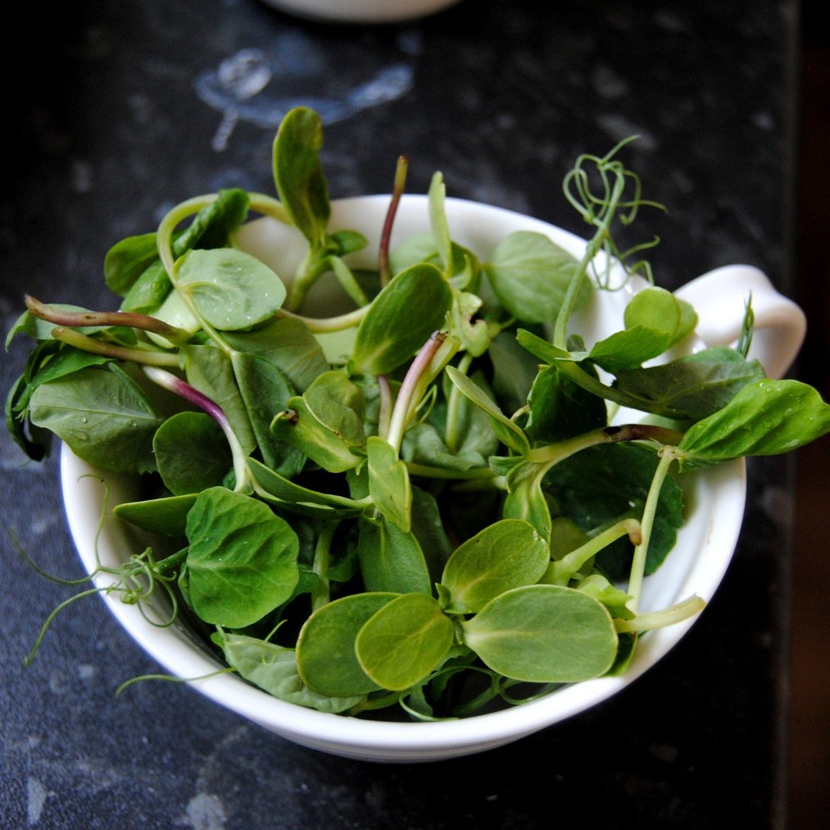 edicityacres's tweet photo. Super tasty #peashoots and #sunflower shoots. Delicious summer flavours ❤🌱 https://t.co/piLYQz5nh7