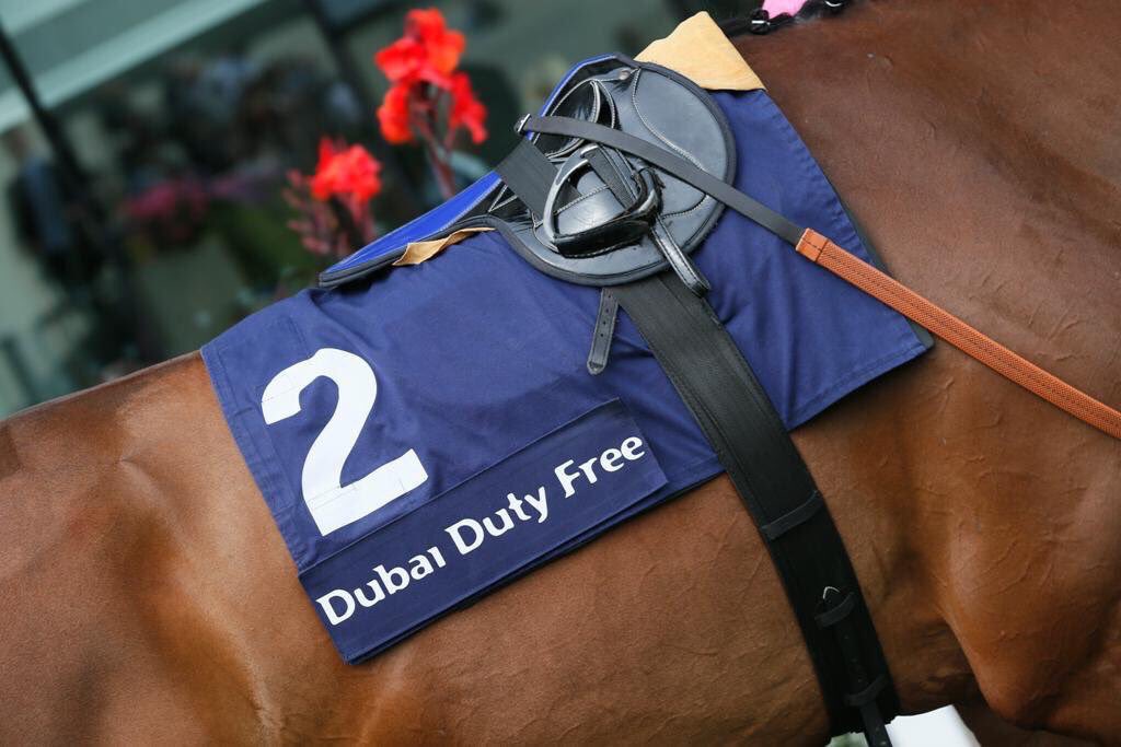 DDFRacing's tweet photo. FOLLOW &amp; RT for the chance to win 2 tickets to the Dubai Duty Free Shergar Cup @Ascot on Sat 12th Aug! #DDFShergarCup https://t.co/xyDNukltom