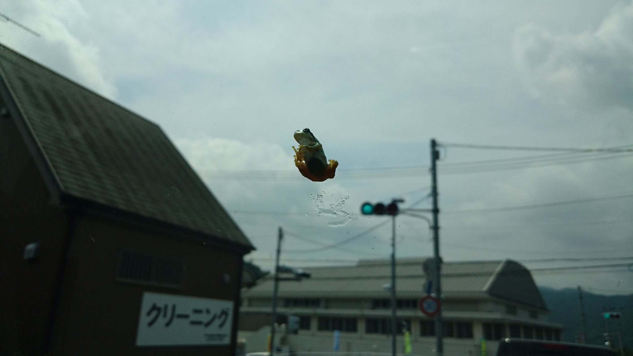 多湖忠 車のフロントガラス鳥のフンだと思ったらカエルだった 32年運転してるけど初めての経験 T Co Mvqb6hx7z1 Twitter 多湖忠 車のフロントガラス鳥のフンだと思ったらカエルだった 32年運転してるけど初めての経験 T Co Mvqb6hx7z1 Twitter