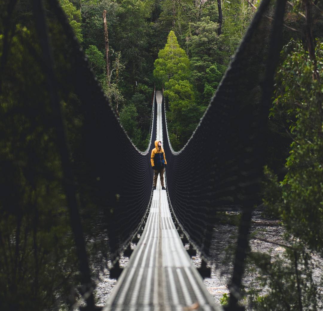 tasmania's tweet photo. Now this is what we call a walk on the wild side! Exploring one of the swing bridges at the #TahuneAirwalk (Pic: https://t.co/vnr0Q0EGN0) https://t.co/ygTj5x5HvB