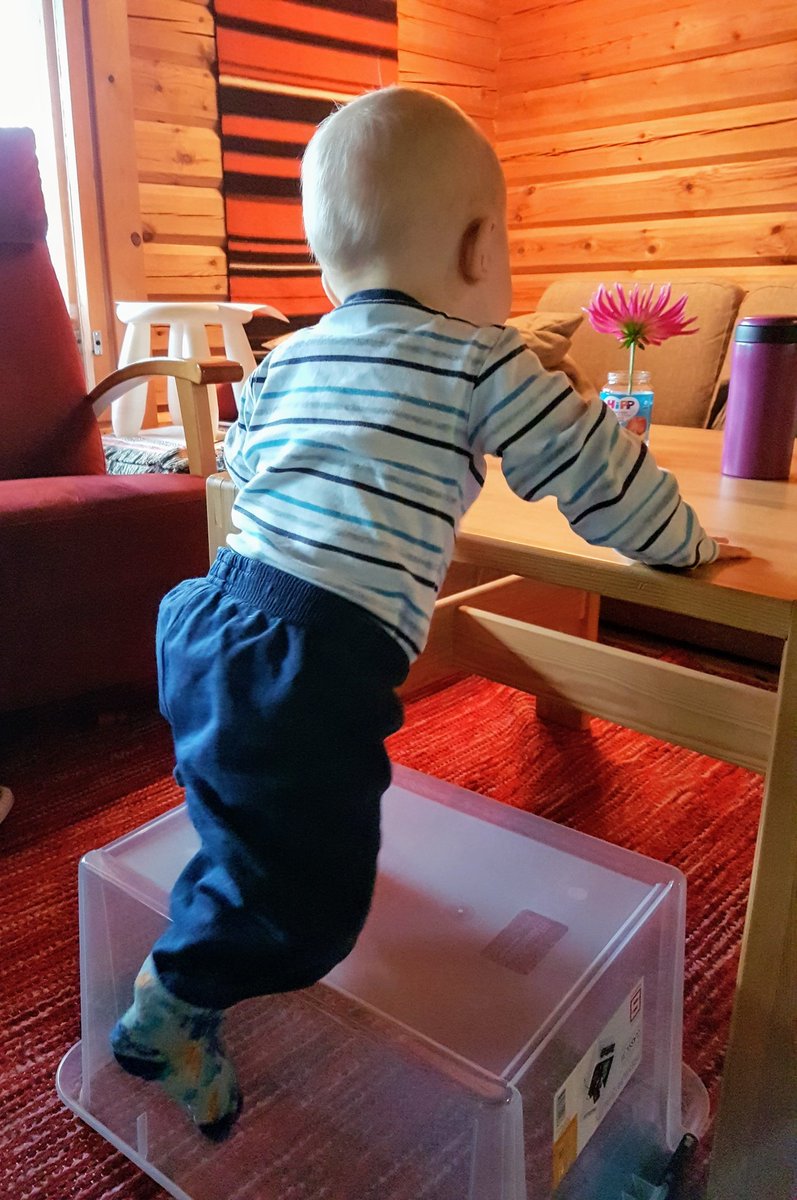 normisuo's tweet photo. #Vauva - kaipaatko haasteita? Käännä lelulaatikko nurin, hiissaa paikalleen ja kiipeä pöydälle. Älä noteeraa kauhistunutta mölinää. #10kk https://t.co/vXFOy7xF8x