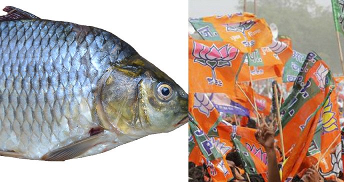 DigitalAtheist_'s tweet photo. Fish is Lord Krishna avatar, Eating Fish is eating God: BJP new game in Bengal
https://t.co/LiczzUW1ix https://t.co/csNibkFWjf