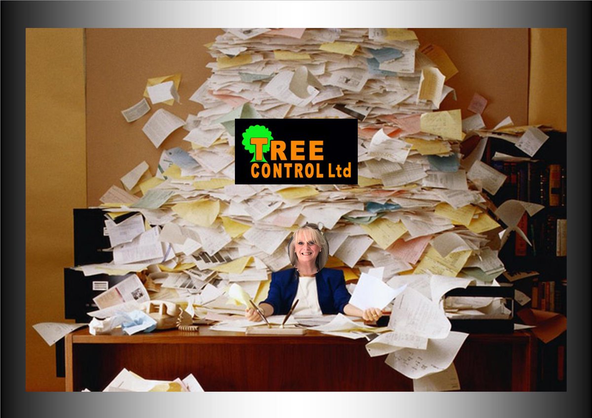treecontrol8's tweet photo. Make me vanish totally under my paperwork! Book your free Quote: Tel 02920 615722 #comingoutofourears #treesurgeonscardiff #patio #fencing https://t.co/6IiFjnxZMR