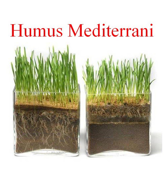 cultpopular_cat's tweet photo. #HumusMediterrani l'off d'arrel surt al carrer amb propostes de ball a Pl Europa @FMediterrania 5-8 octubre 2017 https://t.co/VjBxK1D370 https://t.co/Pau8TminV9