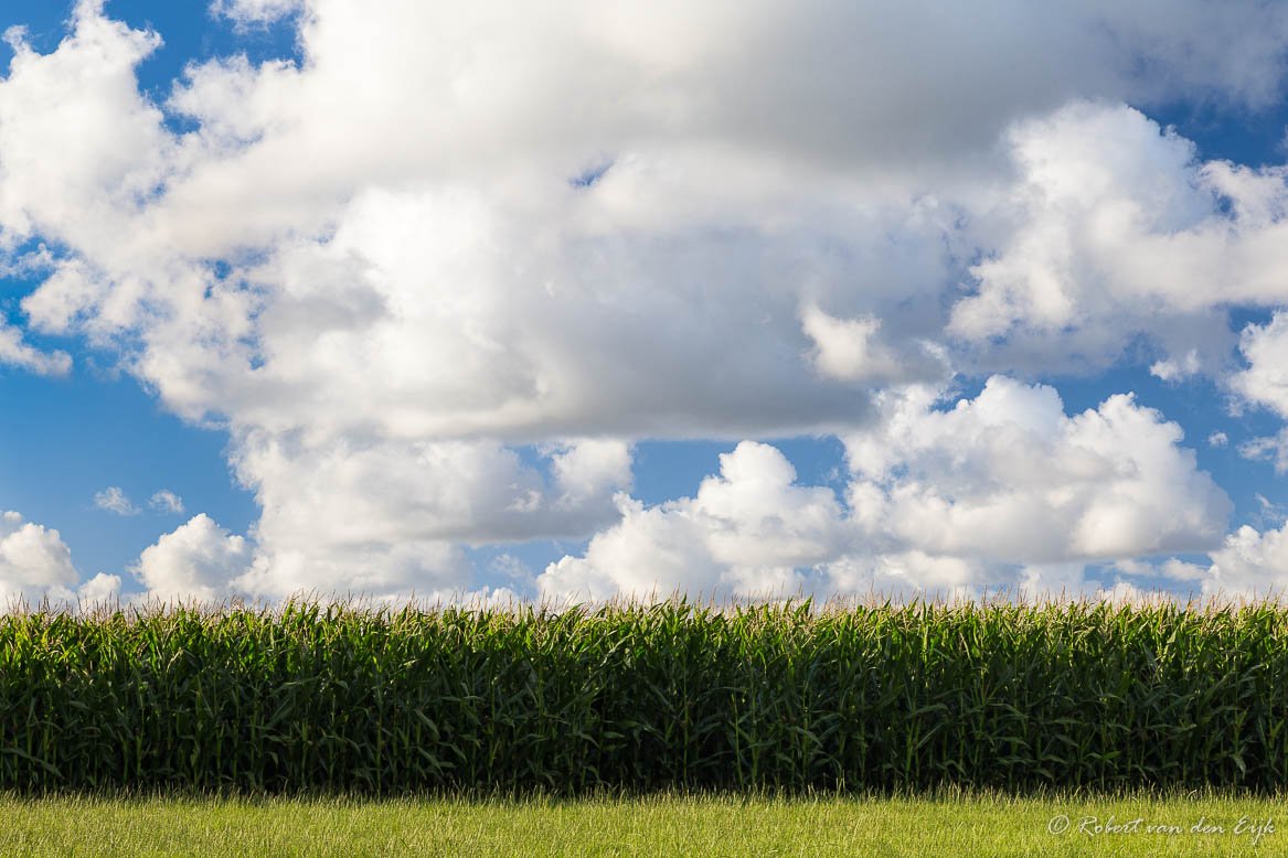 #wolkenluchten boven het #platteland van #Walcheren