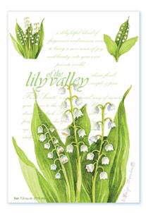 Lily of the Valley #scentedsachet by Willowbrook 

Classic floral, Simple &amp; Pure

heartofthecountryltd.co.uk/shop/wb200-126…