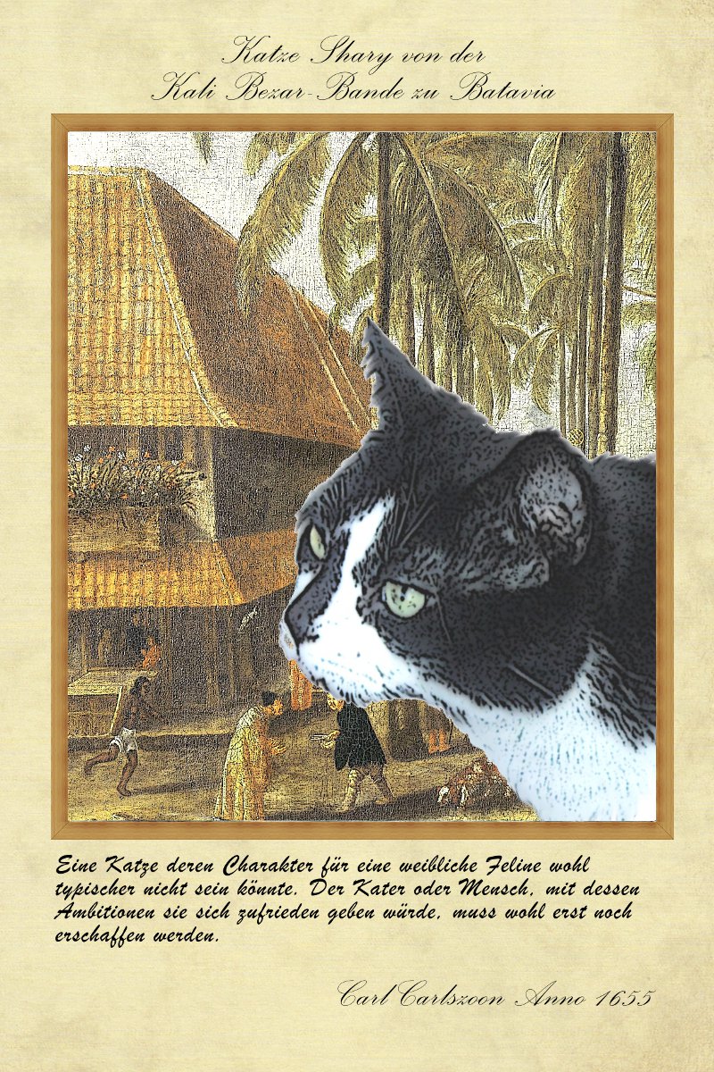 KaterRotbart's tweet photo. #Rotbart Und auch das Quartier Kali Bezar hatte seine feline Bande https://t.co/efbR3qDM2x