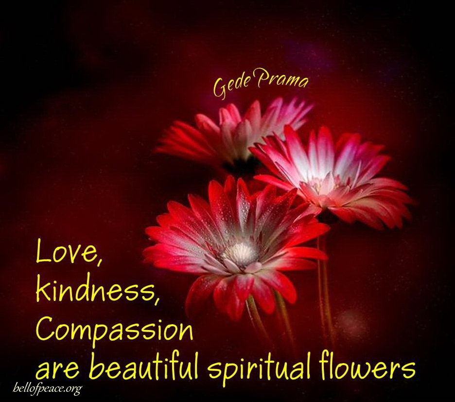 Athena_City's tweet photo. #happytuesday Be a flower in someone's life today 😍 @beewithflowers https://t.co/X9kWXxuBH2