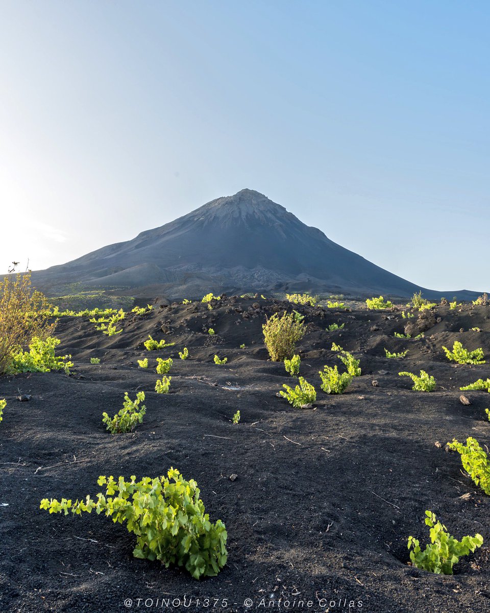 toinou1375's tweet photo. Climbing the 3000m high #CapeVerde active volcano #PicoDeFogo 🌋with @Evaneos. Such an amazing experience 😍🇨🇻 #TravelTuesday #capvert https://t.co/wWiZo7FBJ8