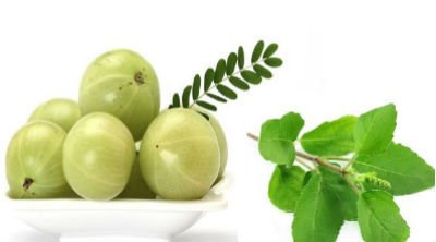 ThinkNaturalMag's tweet photo. 5 ayurvedic cure for dandruff
https://t.co/6j08RshtOy
#ThinkNaturalToday #Health #HolisticHealth #HealthinkNaturalWays https://t.co/dOaNLvgMgd