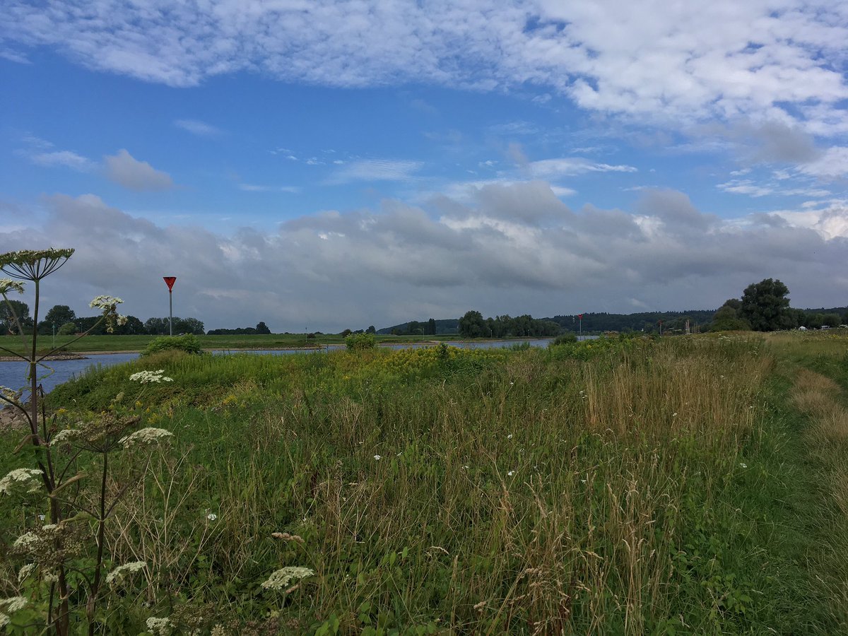 MurielleFridael's tweet photo. What A Great Morning For A Run...! #Running #WayOfLife #LetsRun #HomeTown #RunningAddicts #TheNetherlands 🐾🏃🏽‍♀️ https://t.co/5QAFRvOVfO