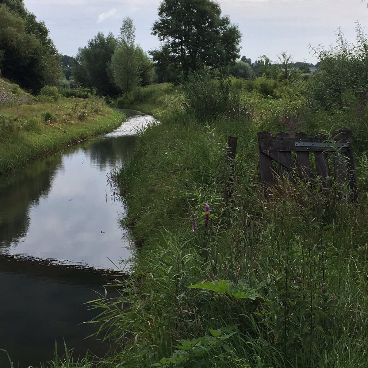 MurielleFridael's tweet photo. What A Great Morning For A Run...! #Running #WayOfLife #LetsRun #HomeTown #RunningAddicts #TheNetherlands 🐾🏃🏽‍♀️ https://t.co/5QAFRvOVfO