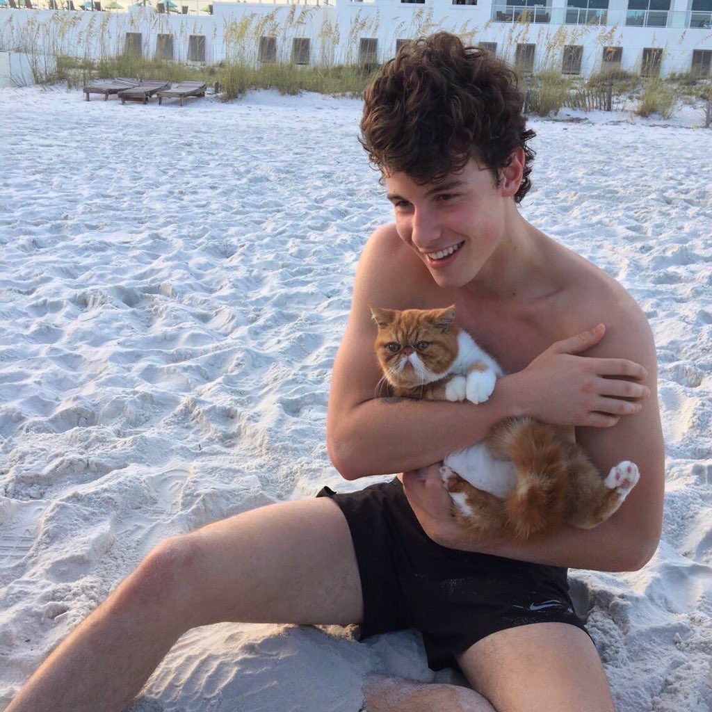 TheMendesSide's tweet photo. HIS HAIR IS AS FLUFFY AS THE CAT I SWEAR 😍☺️ https://t.co/mbSl4BKm6z