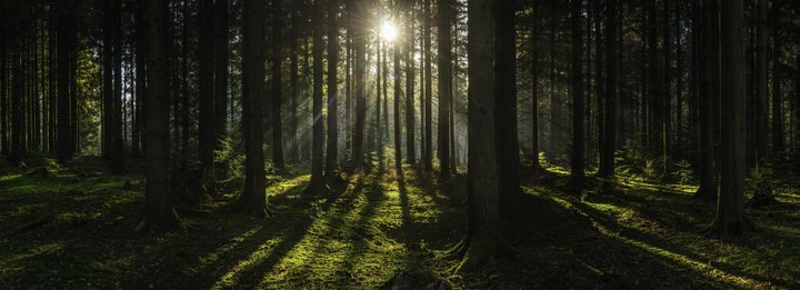 EnviroIntel's tweet photo. Restore the #forests: There’s a critical need to focus on the infrastructure that carries our water @WorldBankWater https://t.co/QR9UuMoTYf https://t.co/WKILlwVFLG