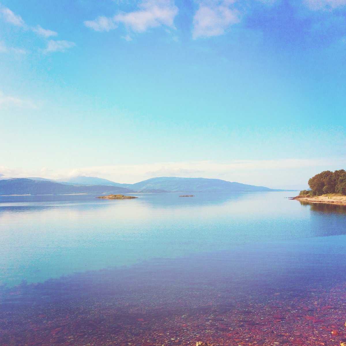 ardgourestate's tweet photo. Good morning from another glorious start on the West Coast @BBCScotWeather @JudithRalston #westisbest #highlandsummer #iloveardgour https://t.co/CpdvtFobeO