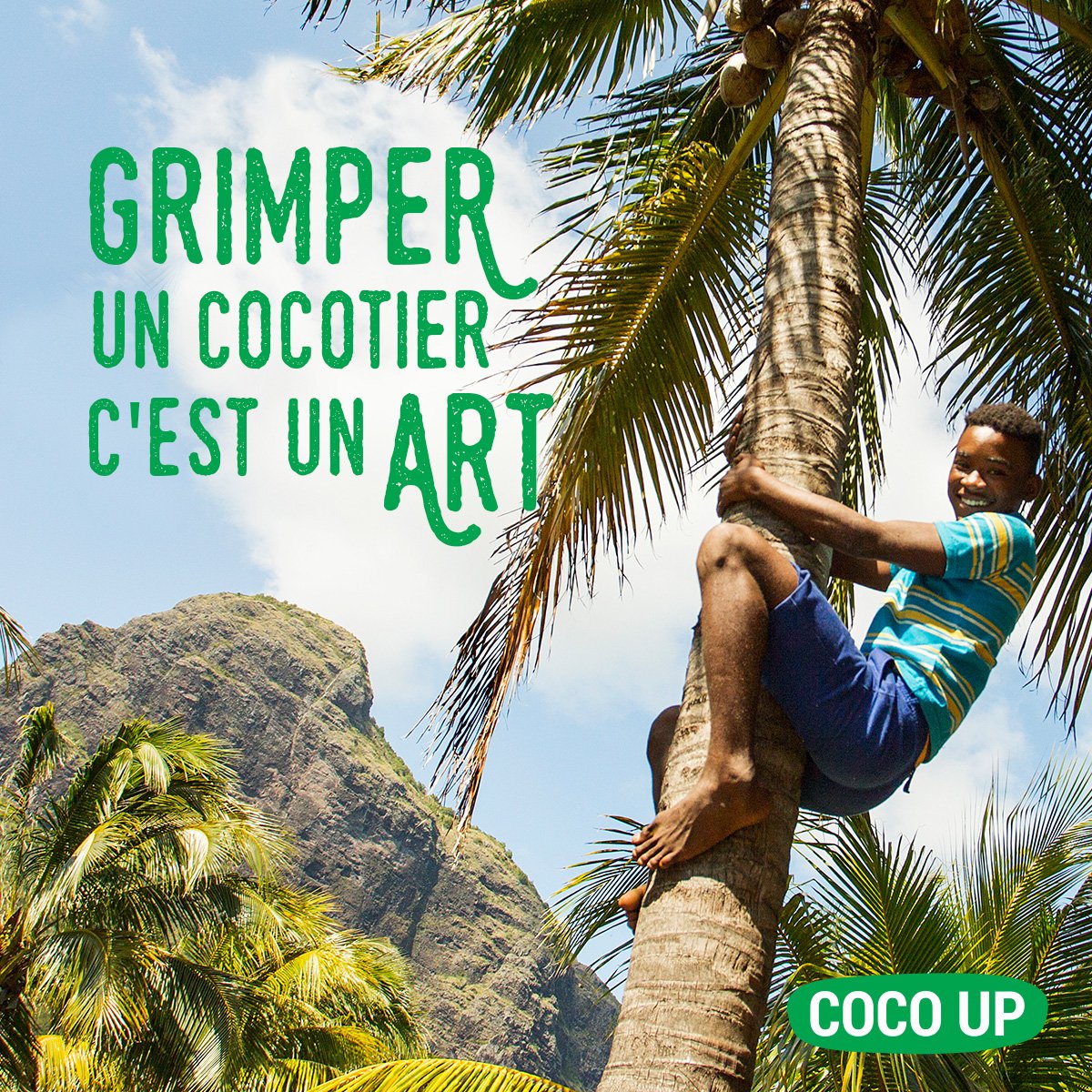 CocoUpMauritius's tweet photo. Grimper aux cocotiers c’est tout un art ! #madeinmoris #cocohealthy #coco https://t.co/nAjNgZknea