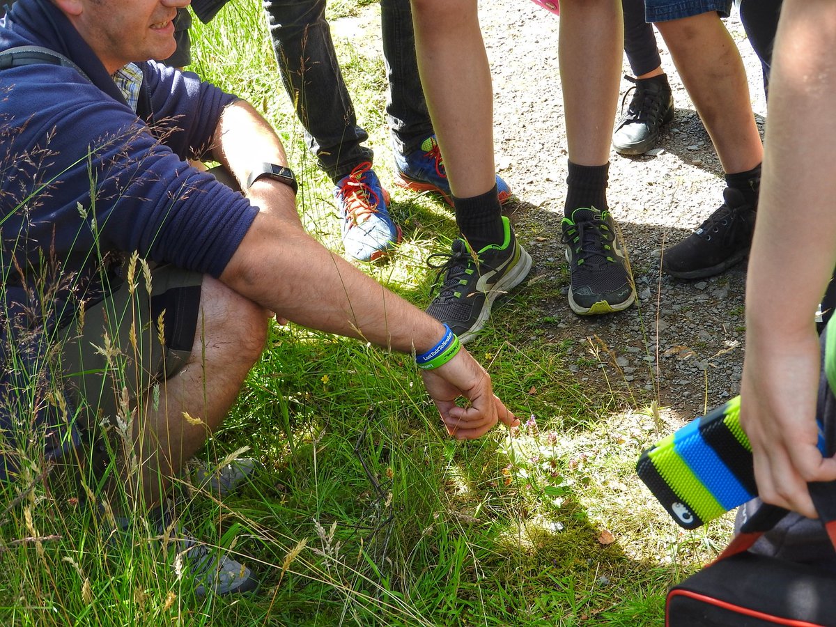 Proudfoot's tweet photo. Led my first #Woodland #Survival Skills day yesterday for @Callanderfest in #WildCallander - kids were great & so attentive! @wildlifewatch https://t.co/QG61H2a9FC