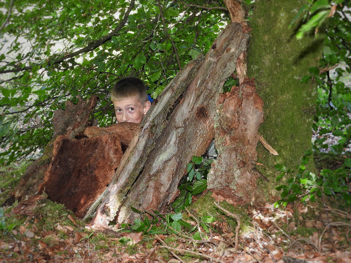 Proudfoot's tweet photo. Led my first #Woodland #Survival Skills day yesterday for @Callanderfest in #WildCallander - kids were great & so attentive! @wildlifewatch https://t.co/QG61H2a9FC