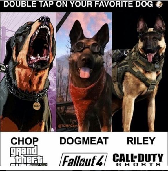Gaming Posts & Vids tweet media