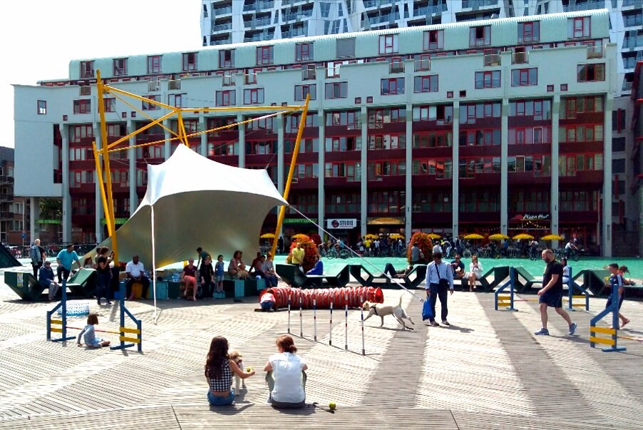 Dogparade010's tweet photo. Mini #Poolparty tijdens #DogFunDay op #Schouwburgplein op zondag 9/7 jl! #Dogparade010 #Rotterdam #DogsOfRotterdam #RotterdamDogs https://t.co/BjJ3wNLdXm