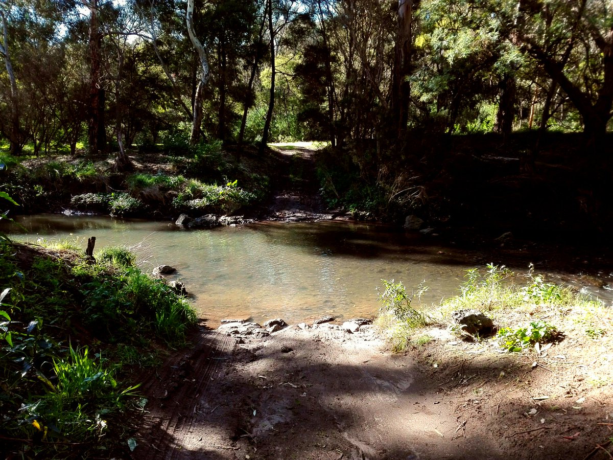 GasparProuve's tweet photo. Sometimes life requires us to go through rough terrain to reach a goal.

#photo #nature #offroad #track #fun #car #road #creek #Australia https://t.co/derX9CUwFK