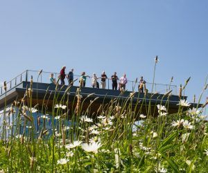 N'land National Park tweet media