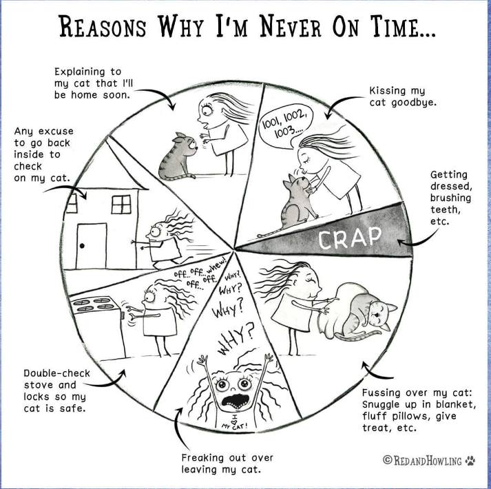 The accuracy is outstanding