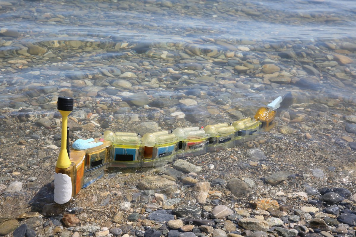 Pinpointing sources of water pollution with a robotic eel #bioinspired_robotics #epfl
actu.epfl.ch/news/pinpointi…
