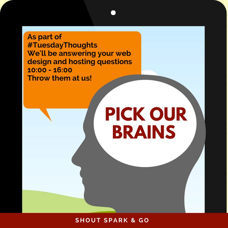 Shout Spark & Go tweet media