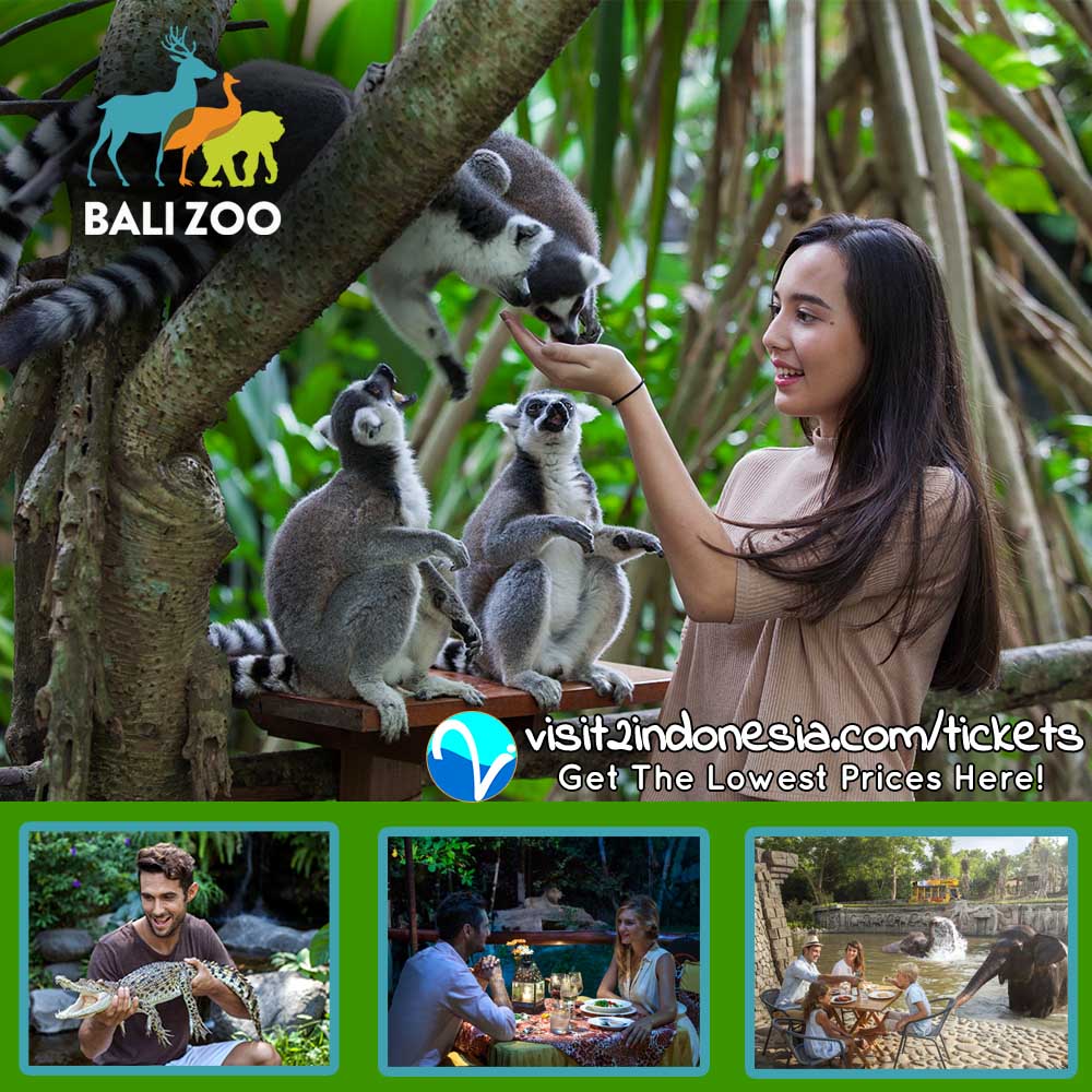 visit2ID's tweet photo. Planning to travel and see places of interest in Indonesia at more affordable prices?

https://t.co/gmJXcdHJCJ https://t.co/OLpAImSivL