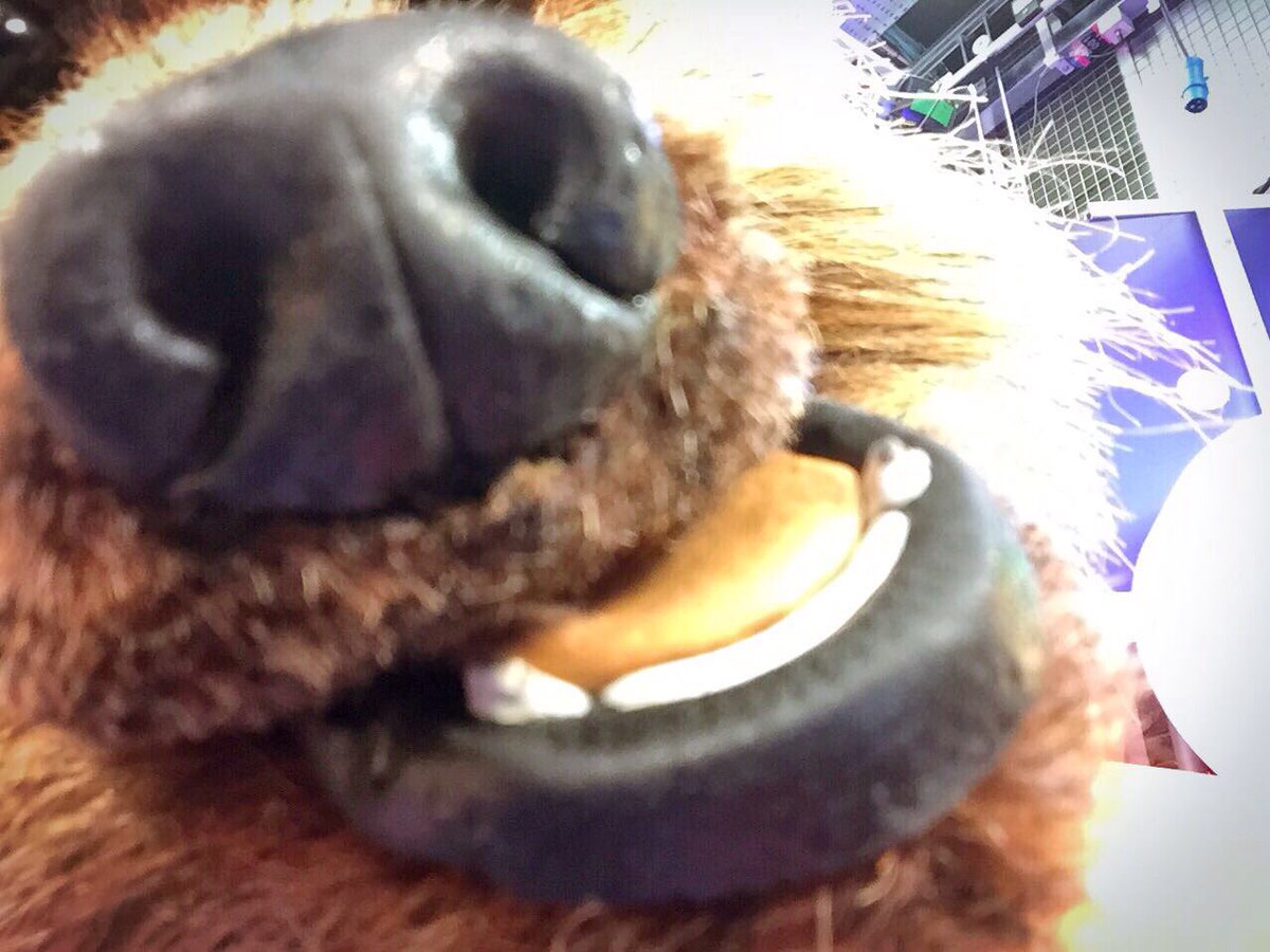 Hacker T Dog tweet media