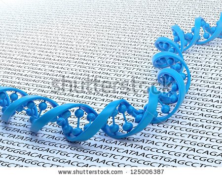 Transcriptomic2's tweet image. Sequencing is the process of determining the order of nucleotide bases (A,C,T, and G) within a stretch of DNA.