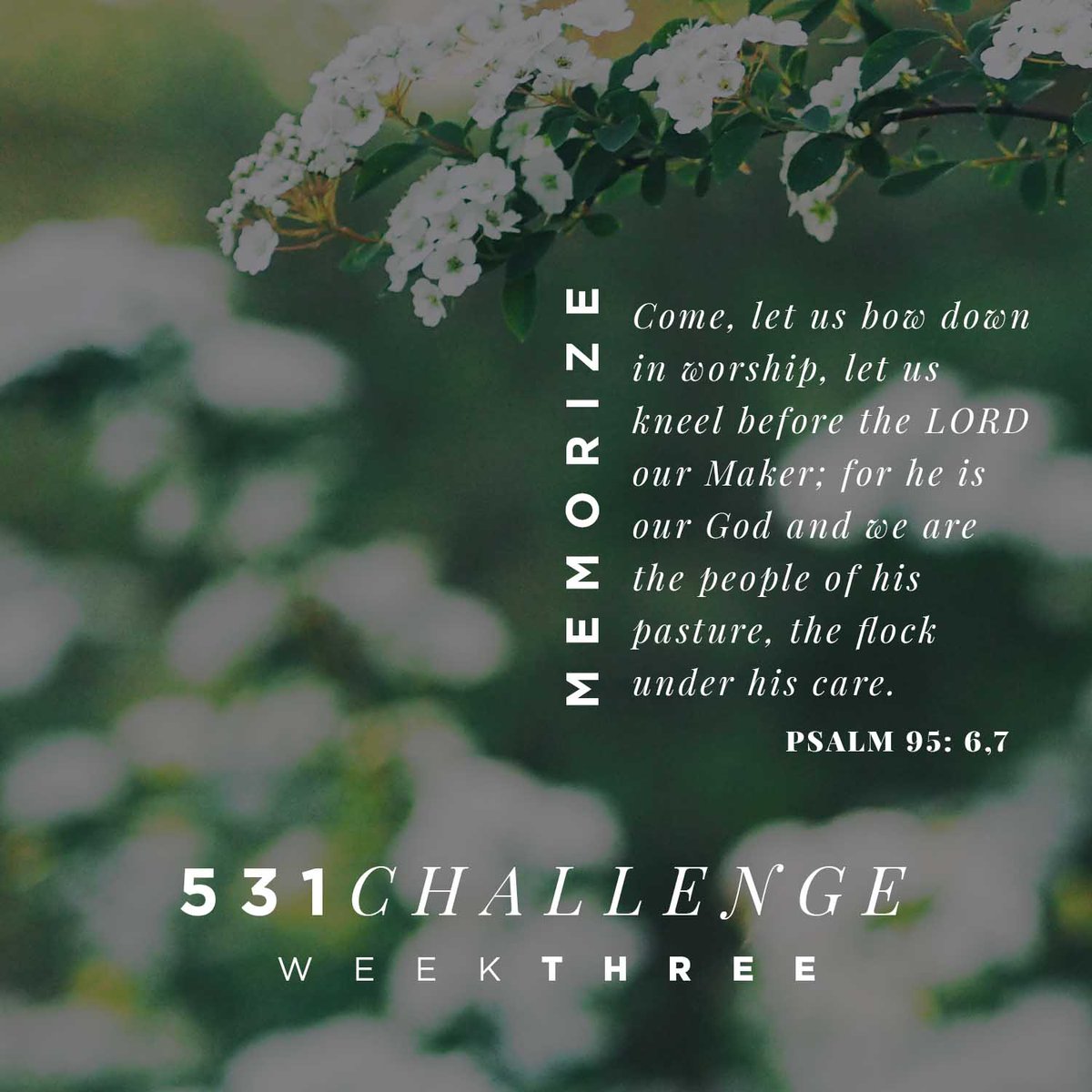 BlackRockChurch's tweet photo. Memory verse time!  Read It. Consider It. Pray It. Live It. Enjoy!  #531challenge https://t.co/tqOEECXliM