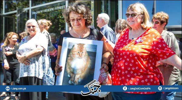 jang_akhbar's tweet photo. بلیوں کو مارنے کے جرم میں 16 سال قید کی سزا
Video:https://t.co/d84iFttdOo
#DailyJang #CatsKiller https://t.co/AEKf6lEJSl