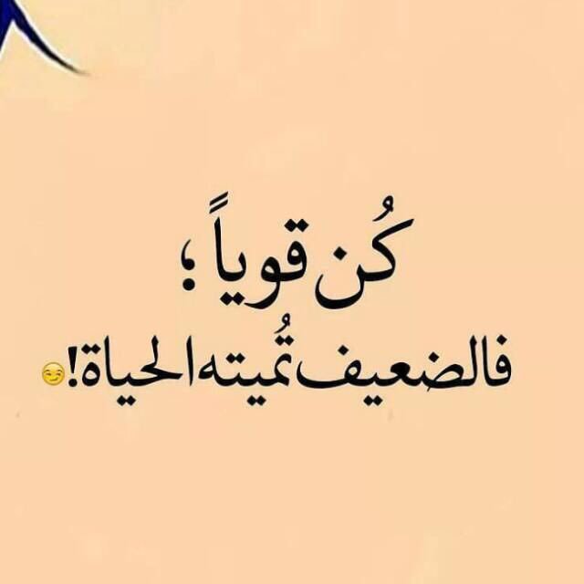 k_nasser515's tweet photo. N,96...卐 https://t.co/Ms9ktYJtdg